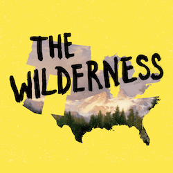 12. The Wilderness